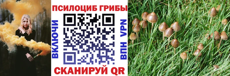 хочу наркоту  Яхрома  Галлюциногенные грибы Cubensis 